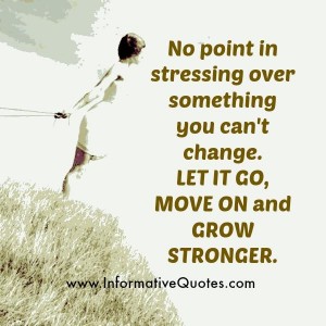 No point in stressing over something you can't change - Informative Quotes